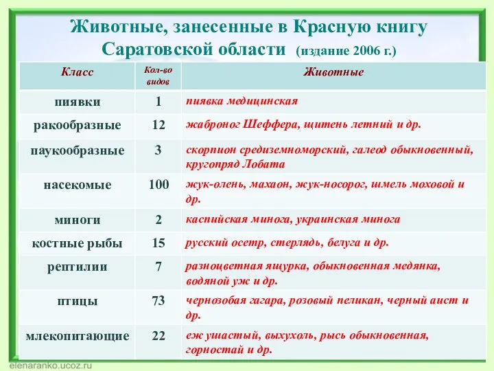 Животные, занесенные в Красную книгу Саратовской области (издание 2006 г.)
