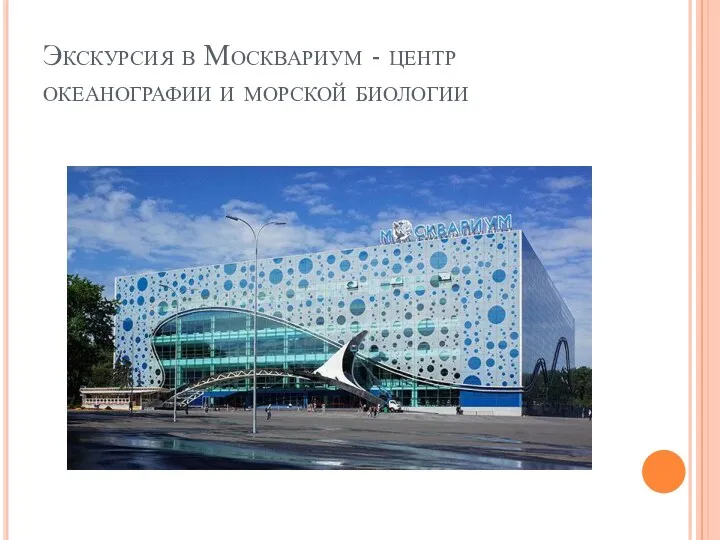 Экскурсия в Москвариум - центр океанографии и морской биологии