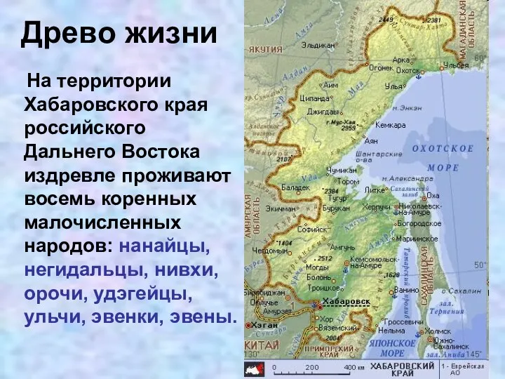 Древо жизни На территории Хабаровского края российского Дальнего Востока издревле