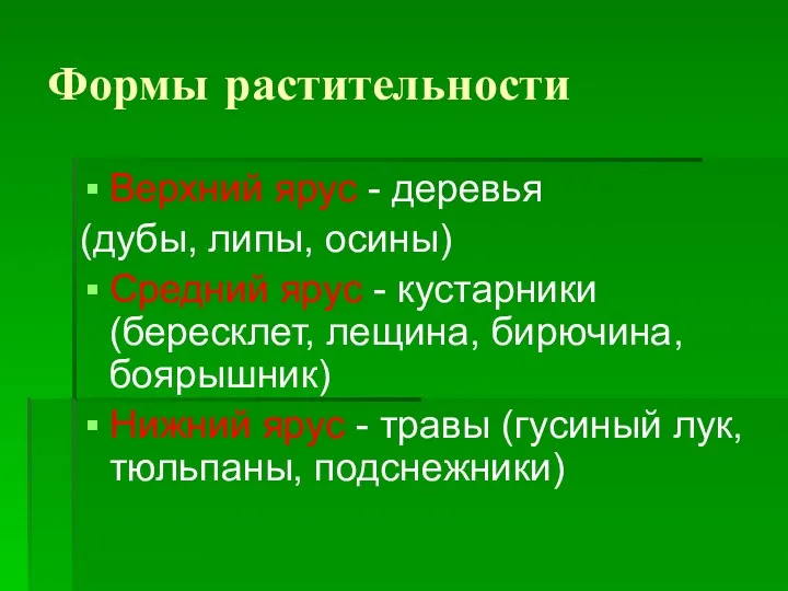 Формы растительности Верхний ярус - деревья (дубы, липы, осины) Средний