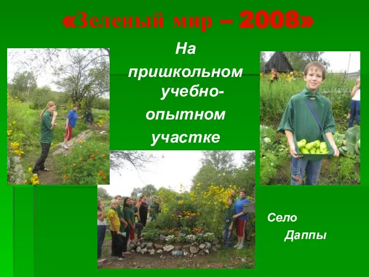 «Зеленый мир – 2008» На пришкольном учебно- опытном участке Село Даппы