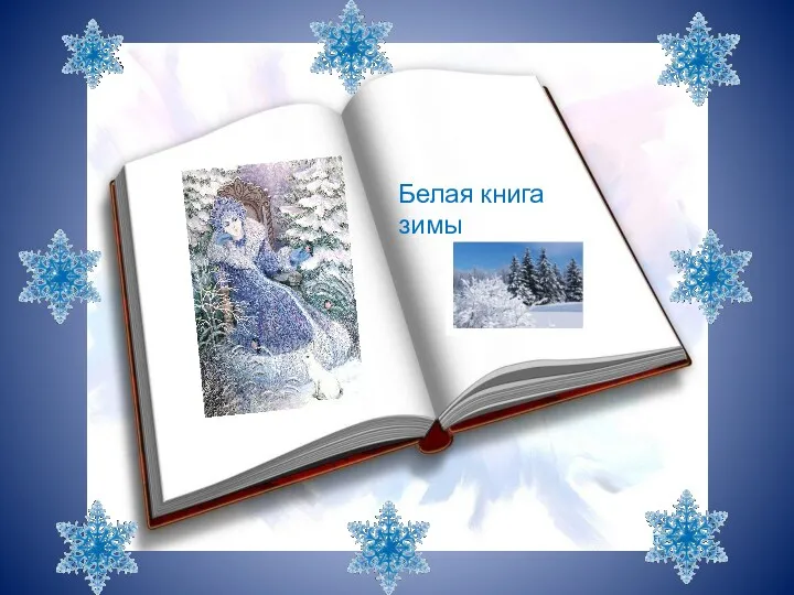 Белая книга зимы