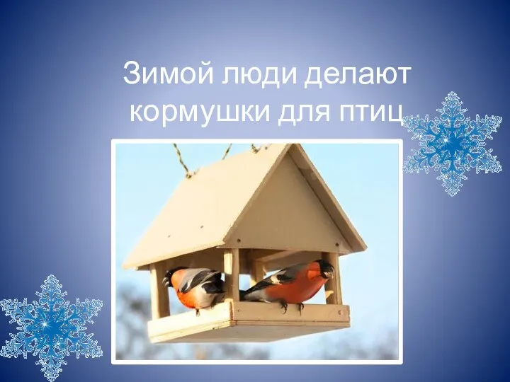 Зимой люди делают кормушки для птиц