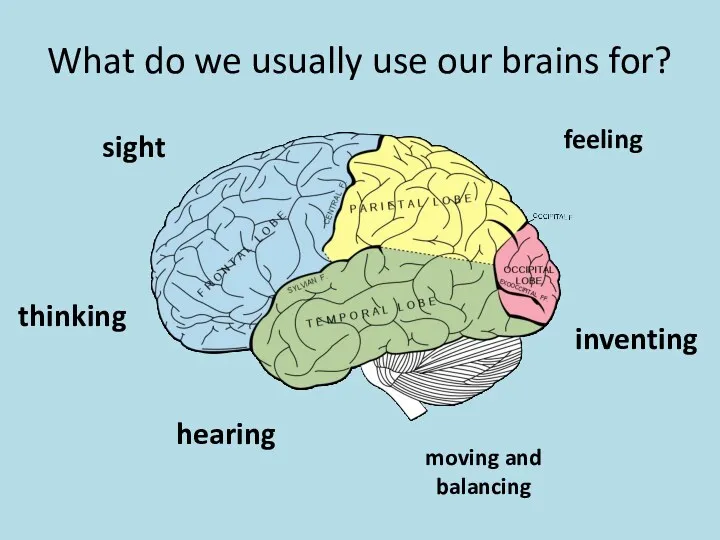 What do we usually use our brains for? sight hearing thinking moving and balancing inventing feeling