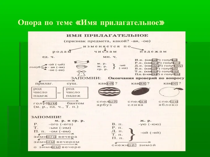 Опора по теме «Имя прилагательное»