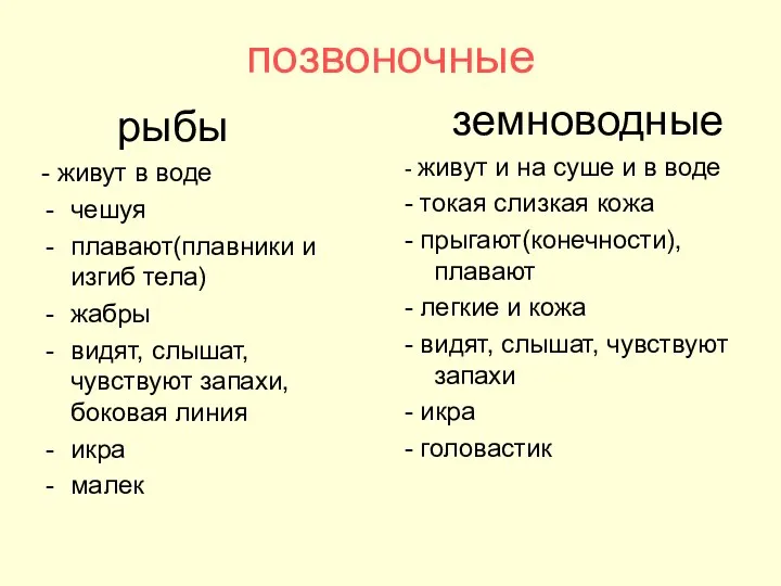 позвоночные рыбы - живут в воде чешуя плавают(плавники и изгиб