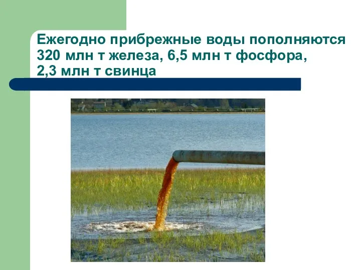 Ежегодно прибрежные воды пополняются 320 млн т железа, 6,5 млн т фосфора, 2,3 млн т свинца