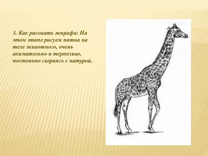 3. Как рисовать жирафа: На этом этапе рисуем пятна на
