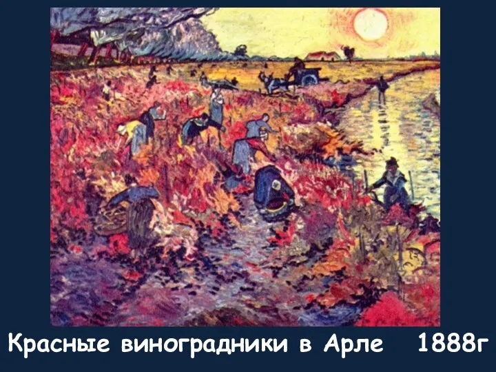 Красные виноградники в Арле 1888г