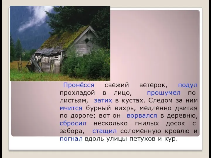 Ветер. Пронёсся свежий ветерок, подул прохладой в лицо, прошумел по