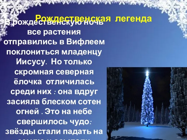 В рождественскую ночь все растения отправились в Вифлеем поклониться младенцу