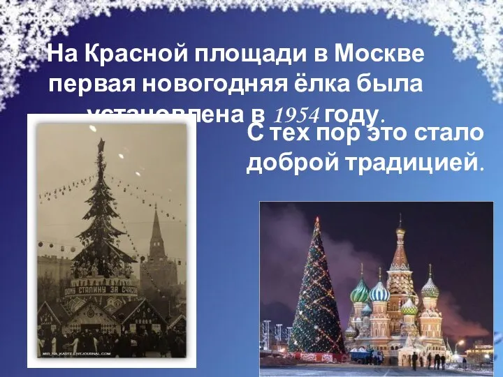 На Красной площади в Москве первая новогодняя ёлка была установлена