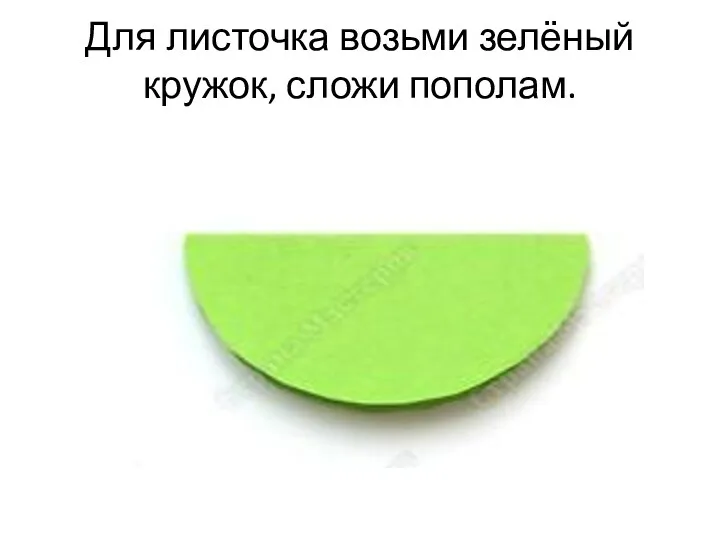 Для листочка возьми зелёный кружок, сложи пополам.
