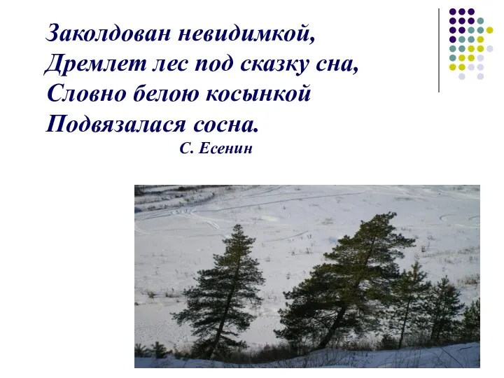 Заколдован невидимкой, Дремлет лес под сказку сна, Словно белою косынкой Подвязалася сосна. С. Есенин