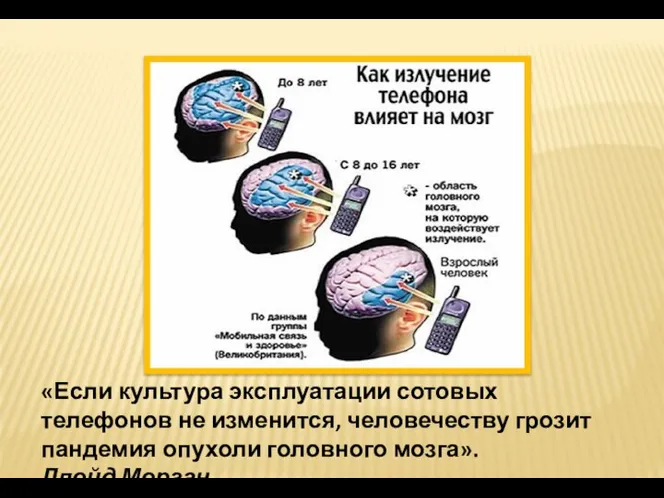 «Если культура эксплуатации сотовых телефонов не изменится, человечеству грозит пандемия опухоли головного мозга». Ллойд Морган