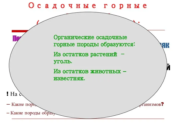 Осадочные горные породы (органические): Породы органического происхождения образуются из остатков