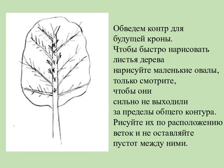 Обведем контр для будущей кроны. Чтобы быстро нарисовать листья дерева