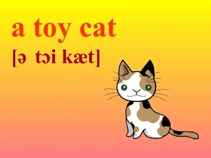 a toy cat [ə tɔi kæt]