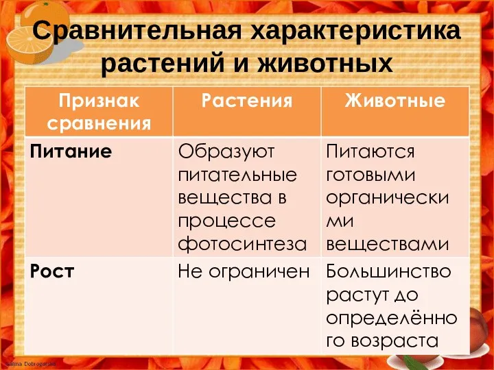 Сравнительная характеристика растений и животных