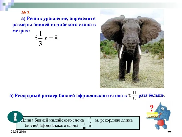 № 2. а) Решив уравнение, определите размеры бивней индийского слона