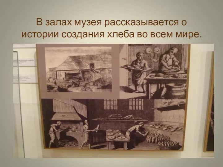 В залах музея рассказывается о истории создания хлеба во всем мире.