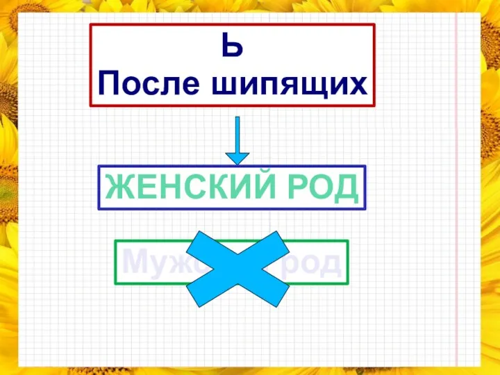 Ь После шипящих ЖЕНСКИЙ РОД Мужской род