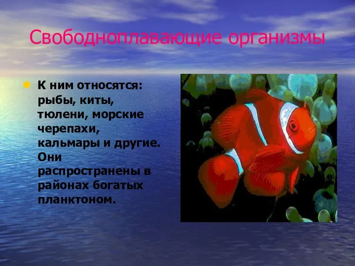 Свободноплавающие организмы К ним относятся: рыбы, киты, тюлени, морские черепахи,