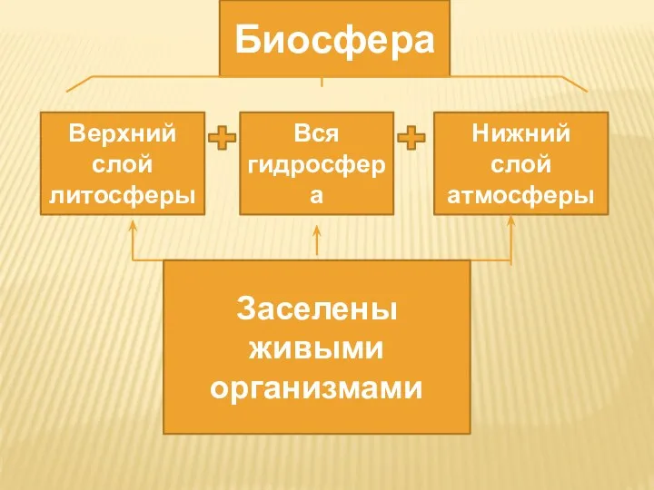 Биосфера Верхний слой литосферы Нижний слой атмосферы Вся гидросфера Заселены живыми организмами