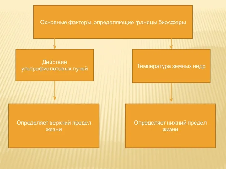 Основные факторы, определяющие границы биосферы Действие ультрафиолетовых лучей Температура земных