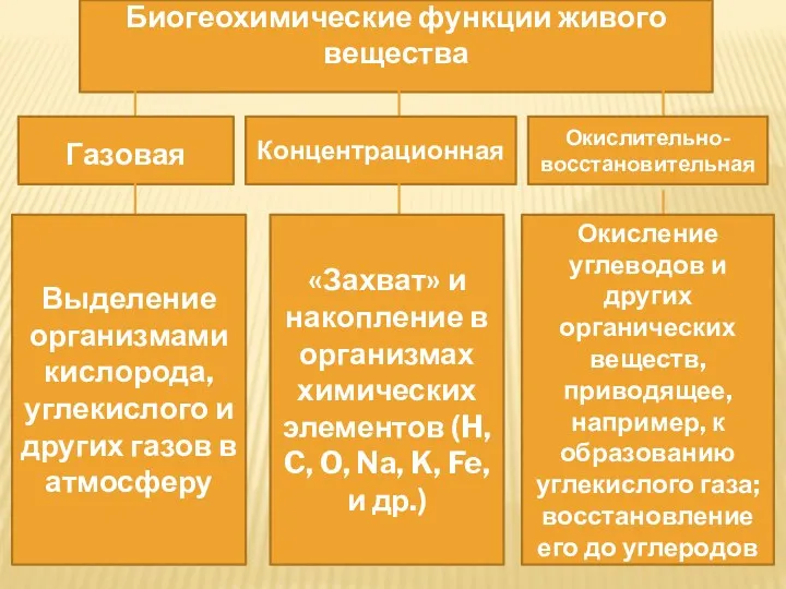 Биогеохимические функции живого вещества Газовая Концентрационная Окислительно-восстановительная Выделение организмами кислорода,