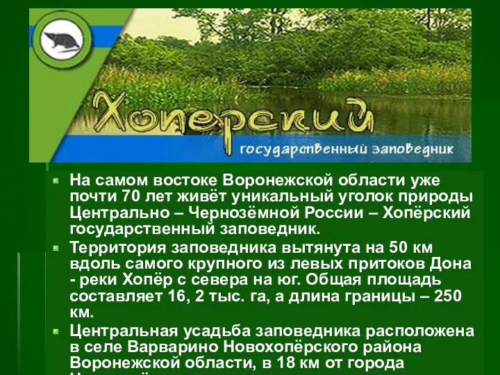 На самом востоке Воронежской области уже почти 70 лет живёт уникальный уголок природы