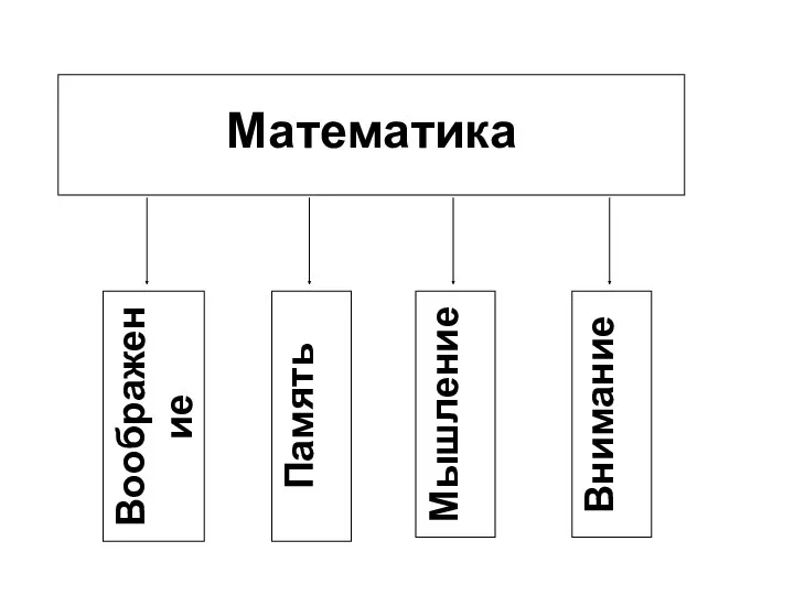 Математика Воображение Память Мышление Внимание