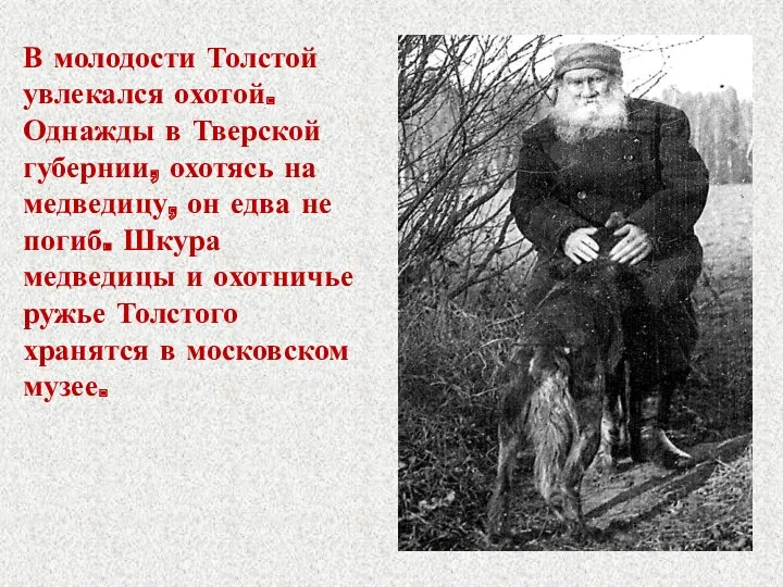 В молодости Толстой увлекался охотой. Однажды в Тверской губернии, охотясь