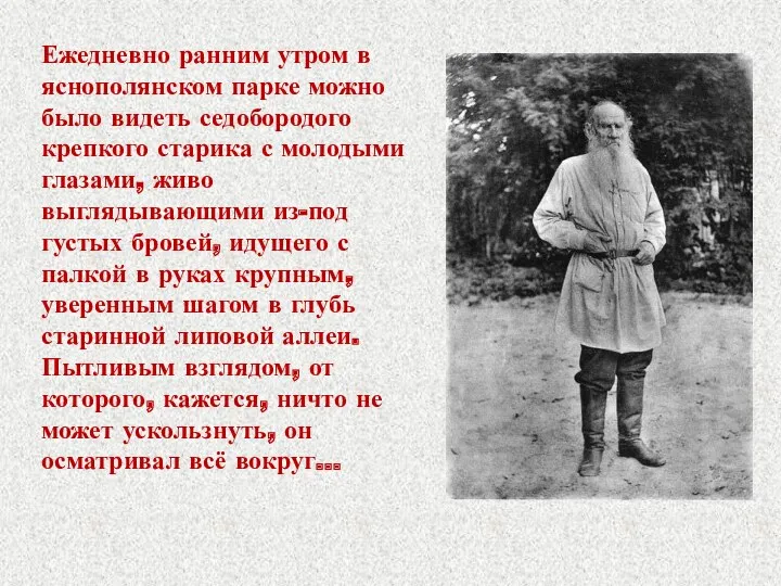 Ежедневно ранним утром в яснополянском парке можно было видеть седобородого