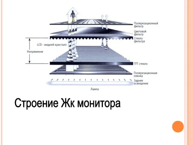 Строение Жк монитора