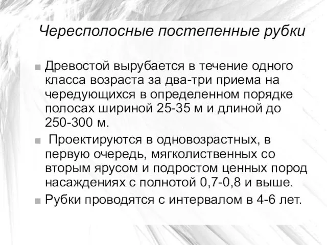 Чересполосные постепенные рубки Древостой вырубается в течение одного класса возраста