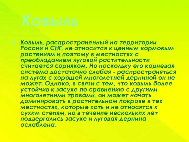 Ковыль Ковыль, распространенный на территории России и СНГ, не относится