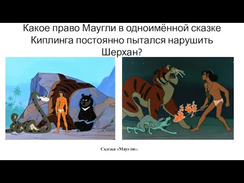 Какое право Маугли в одноимённой сказке Киплинга постоянно пытался нарушить Шерхан? Сказка «Маугли».