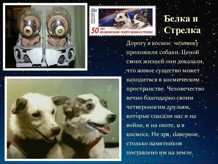 Белка и Стрелка Дорогу в космос человеку проложили собаки. Ценой