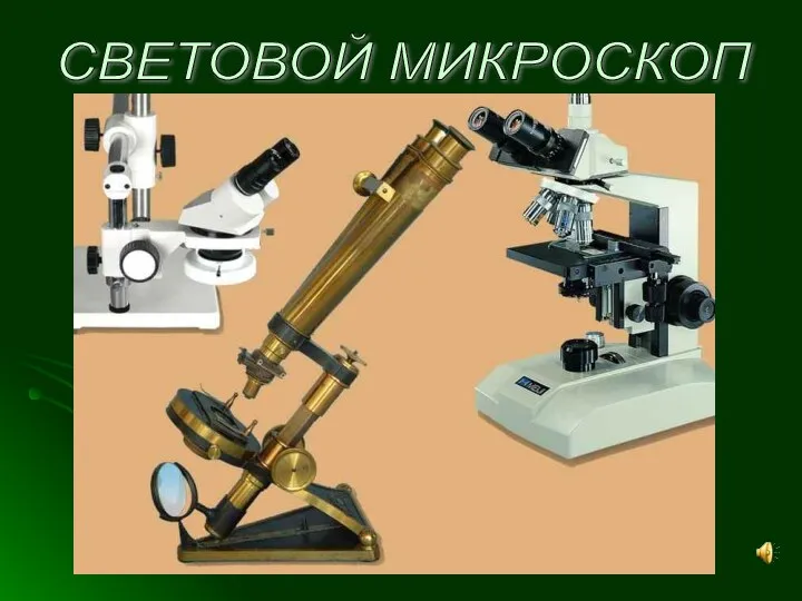 СВЕТОВОЙ МИКРОСКОП