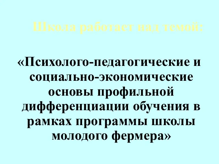 Школа работает над темой: «Психолого-педагогические и социально-экономические основы профильной дифференциации