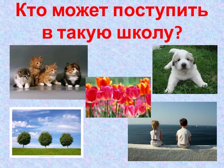 Кто может поступить в такую школу?