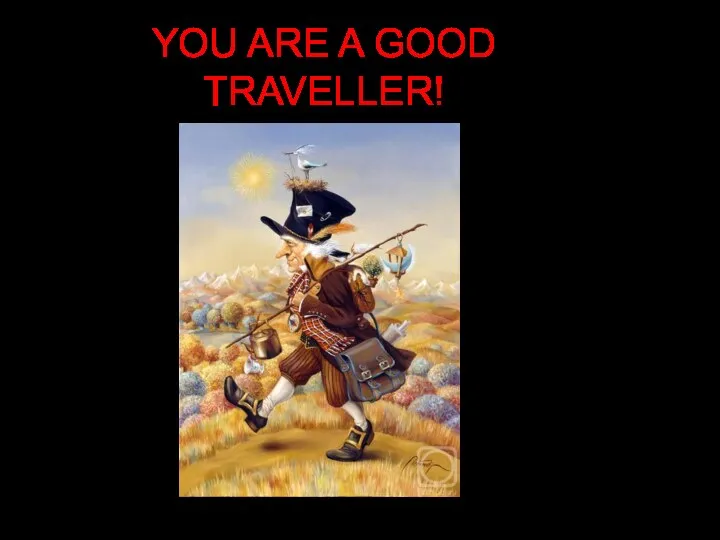 YOU ARE A GOOD TRAVELLER!