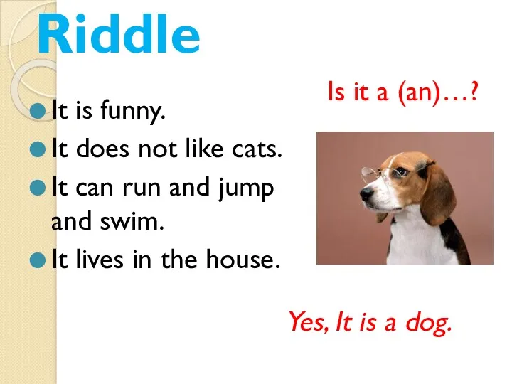 Riddle It is funny. It does not like cats. It