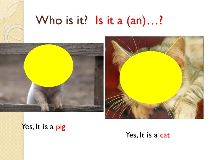 Who is it? Is it a (an)…? Yes, It is