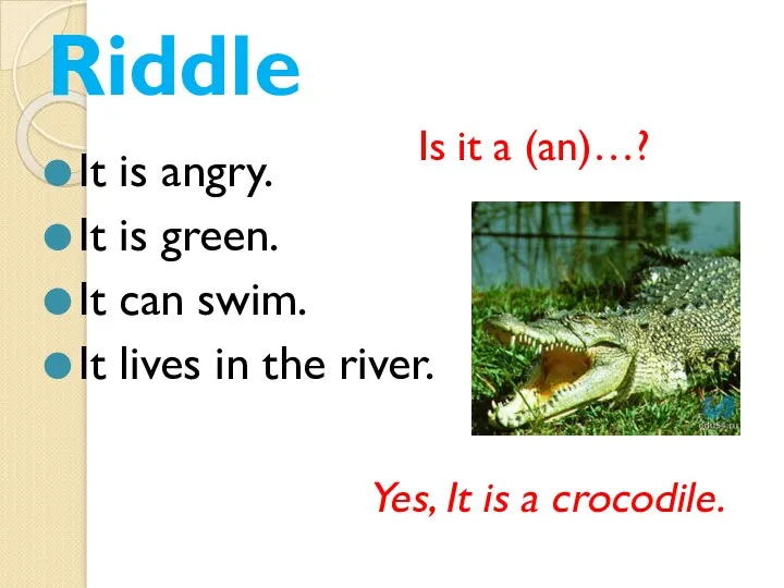 Riddle It is angry. It is green. It can swim.