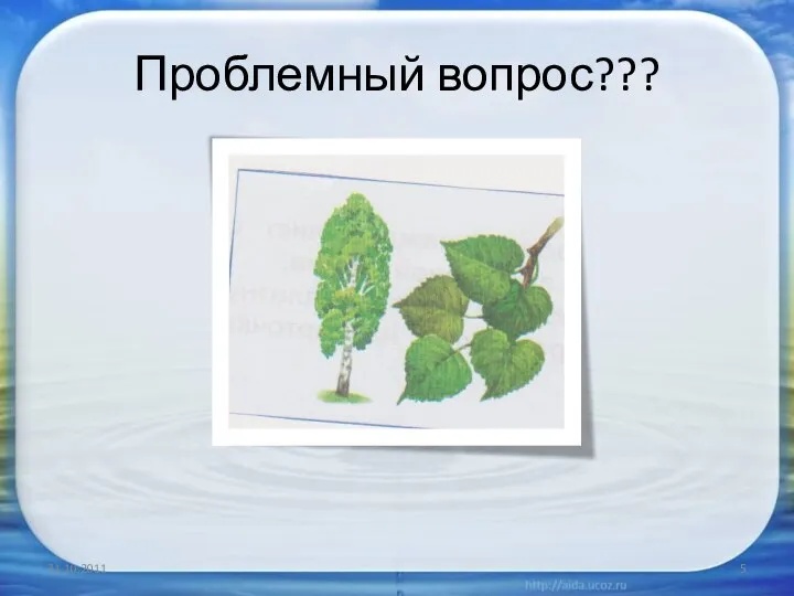 Проблемный вопрос???