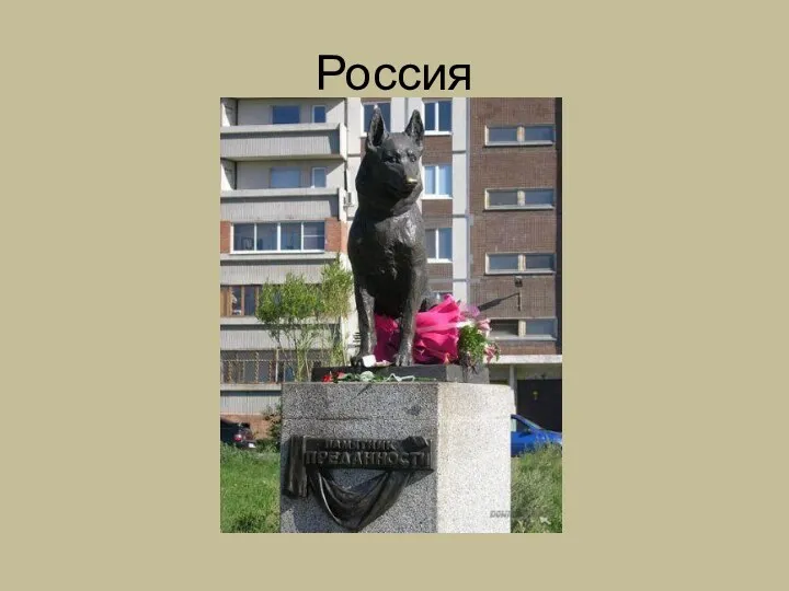 Россия