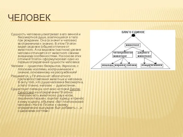 ЧЕЛОВЕК Сущность человека усматривал в его вечной и бессмертной душе,