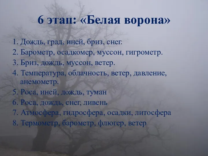 6 этап: «Белая ворона» 1. Дождь, град, иней, бриз, снег.